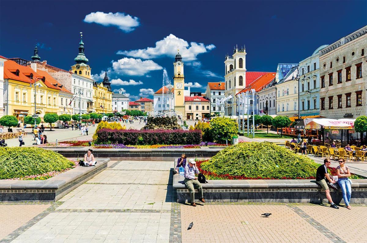 Apartman Central, Self Check In 24 H, Free Parking Banská Bystrica Exterior foto